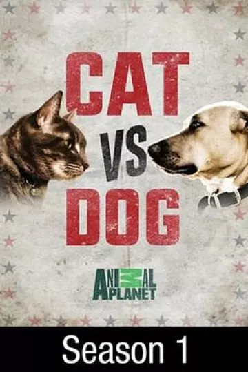 猫狗大战综艺