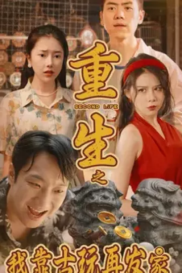 重生之我靠古玩再发家