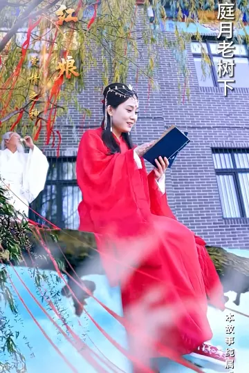 红娘下凡追夫记
