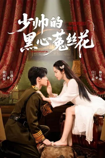 少帅的黑心菟丝花