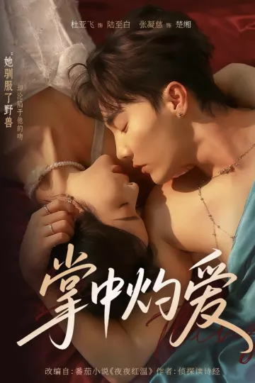 掌中灼爱