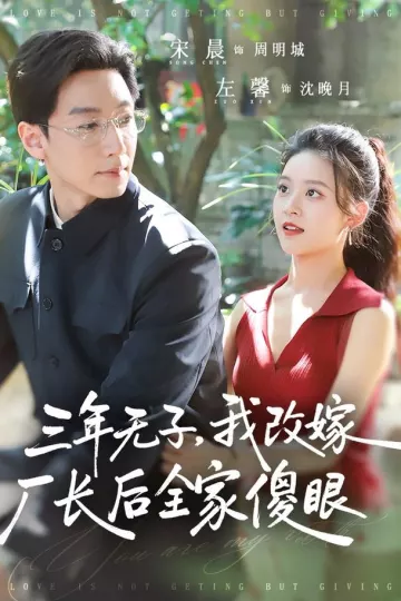三年无子，我改嫁厂长后全家傻眼了