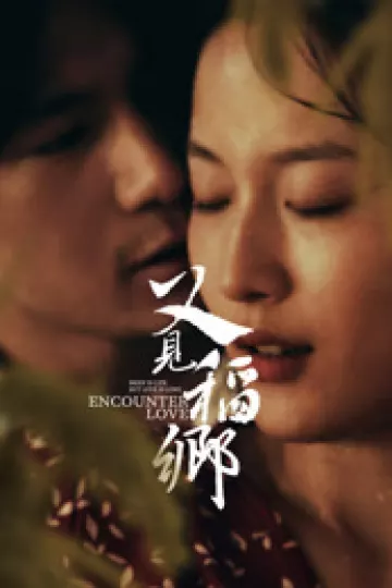 又见稻乡