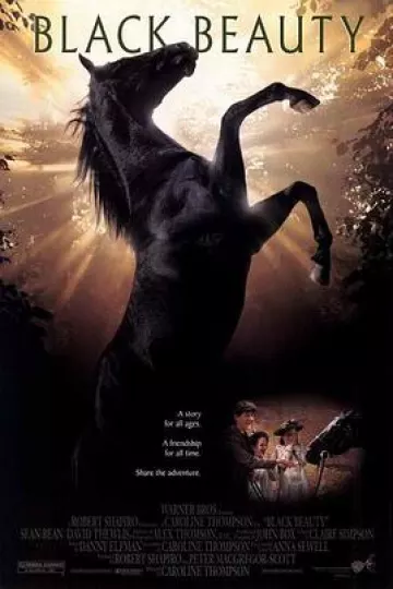 黑骏马1994[电影解说]