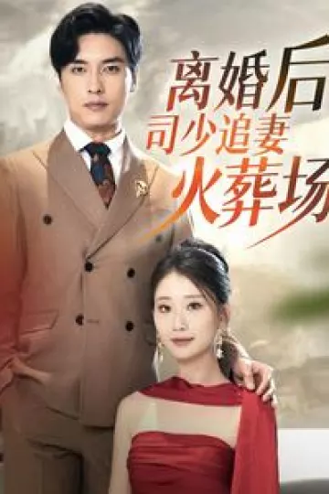 离婚后司少追妻火葬场