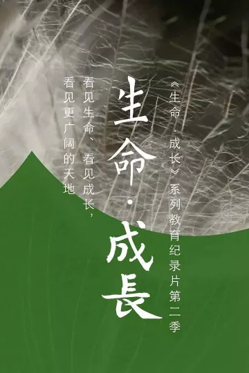 生命·成长第二季