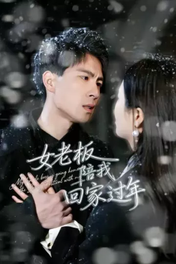 女老板陪我回家过年