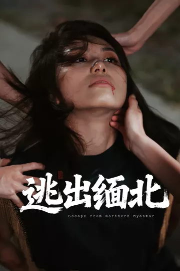 逃出缅北