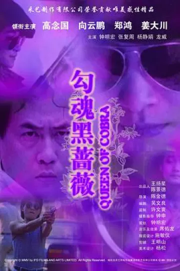 勾魂黑蔷薇