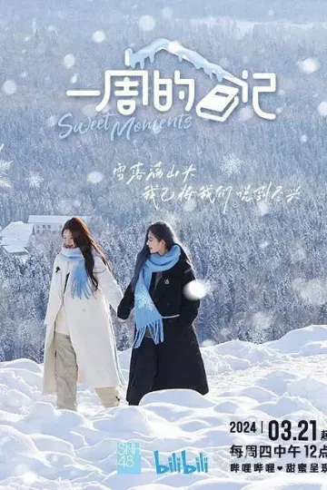一周的日记
