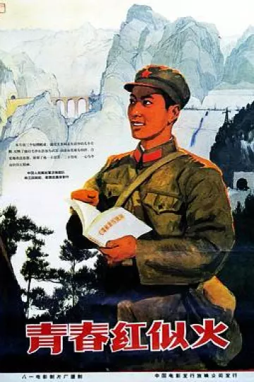 青春红似火