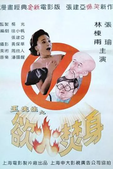 王先生之欲火焚身[电影解说]