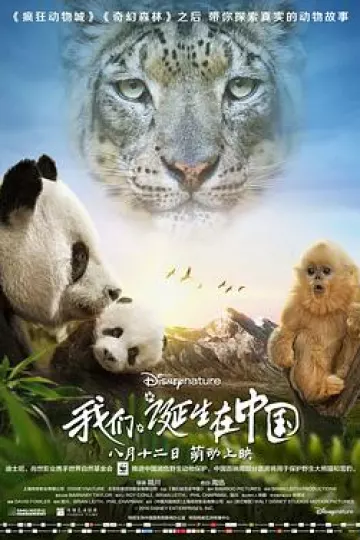 我们诞生在中国国语