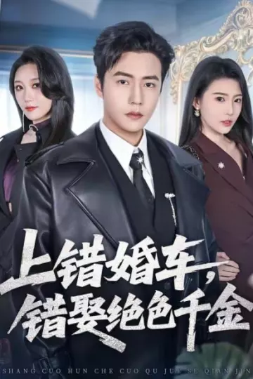 上错婚车，错娶绝色千金