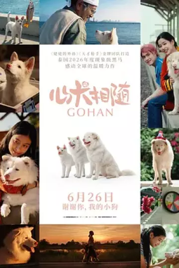 心犬相随[电影解说]