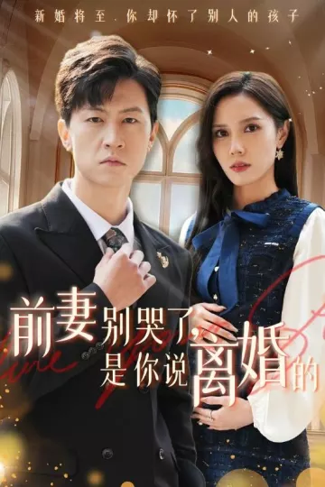 前妻别哭了是你说离婚的