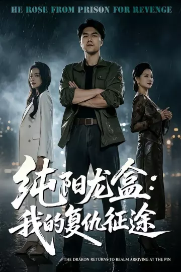 纯阳龙盒：我的复仇征途