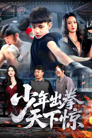 少年出拳天下惊