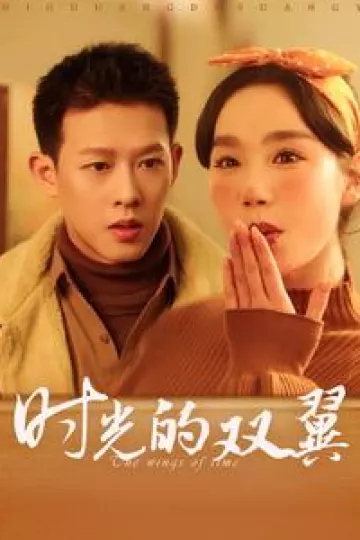 时光的双翼