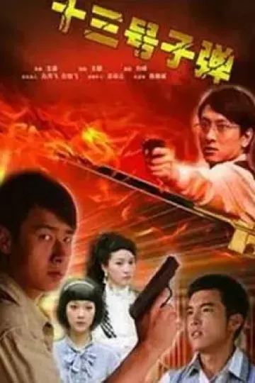 13号子弹
