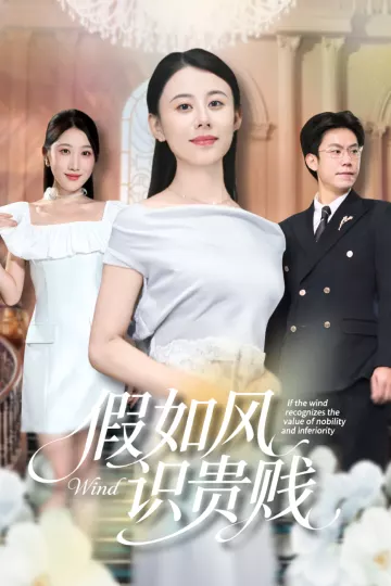 假如风识贵贱