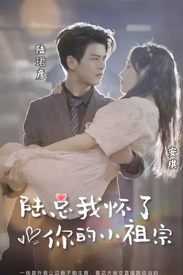 陆总，我怀了你的小祖宗