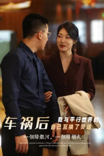 车祸后我与平行世界的自己互换了灵魂