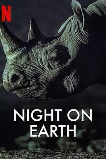地球的夜晚