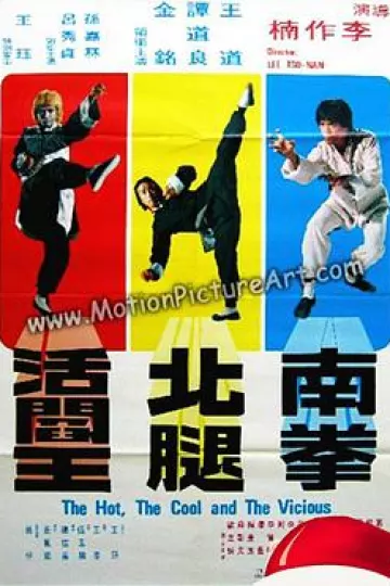 南拳北腿活阎王