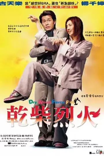 干柴烈火2002