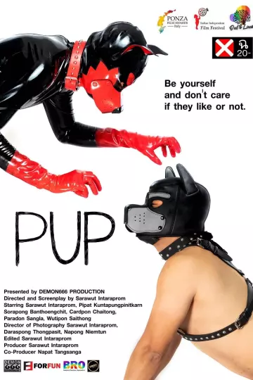犬奴养成记