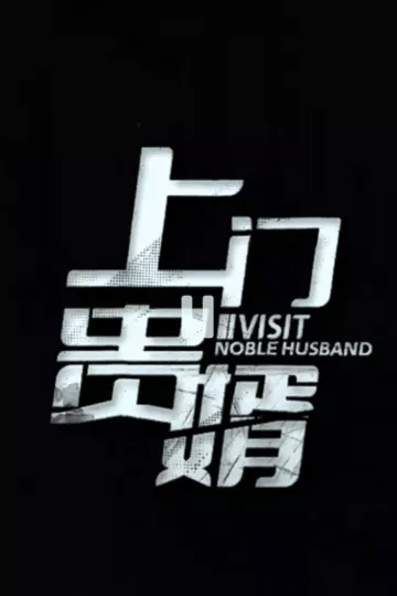 上门贵婿合集版