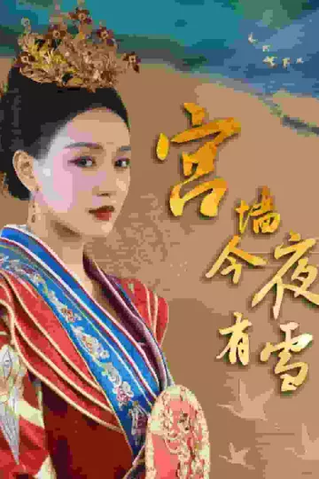 宫墙今夜有雪