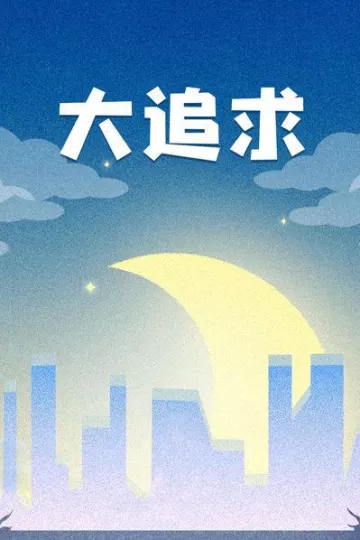大追求
