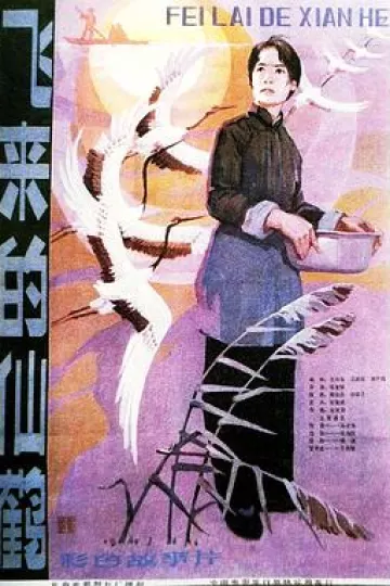 飞来的仙鹤