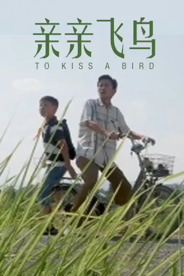 亲亲飞鸟