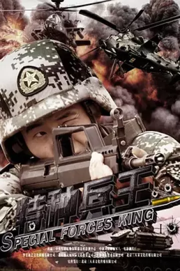 特种兵王
