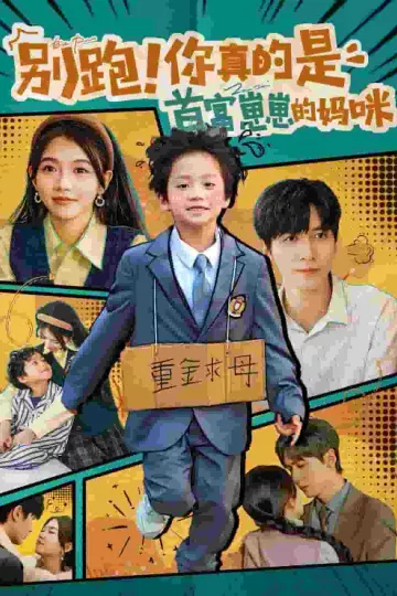 别跑你真的是首富崽崽的妈咪