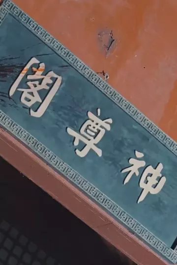 绝世帝君