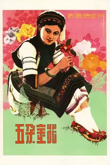 五朵金花[电影解说]