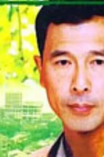 夏季无风