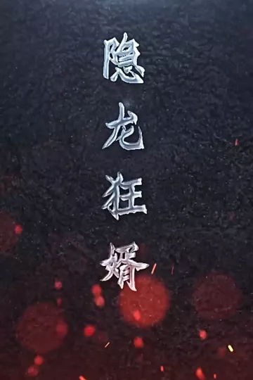 隐龙狂婿