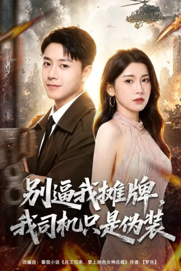 别逼我摊牌,我司机只是伪装