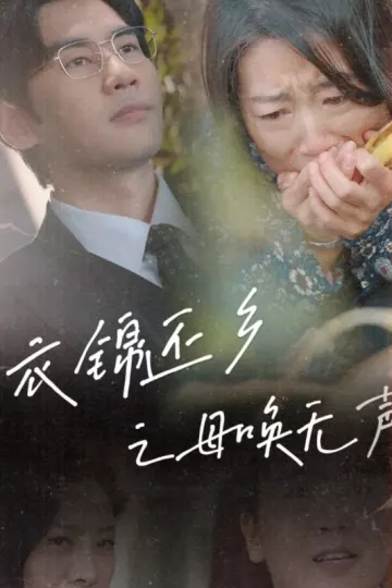 衣锦还乡之母唤无声