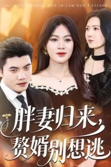 胖妻归来，赘婿别想逃