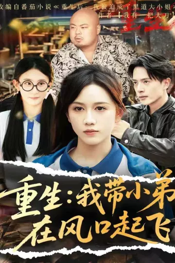 重生我带小弟在风口起飞
