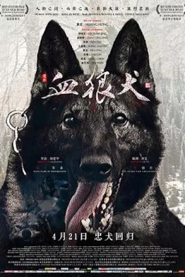 血狼犬[电影解说]