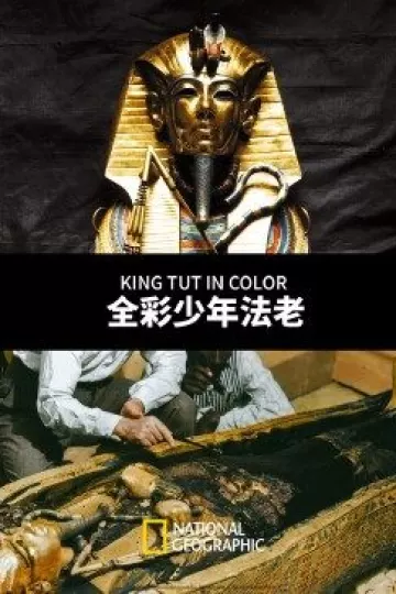 全彩少年法老