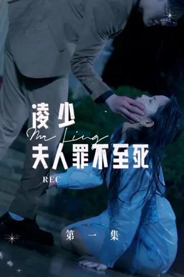 凌少夫人罪不至死合集版