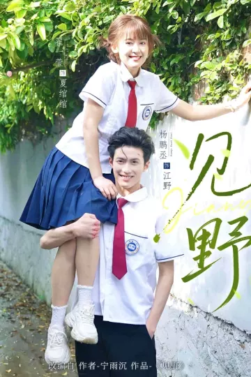见野